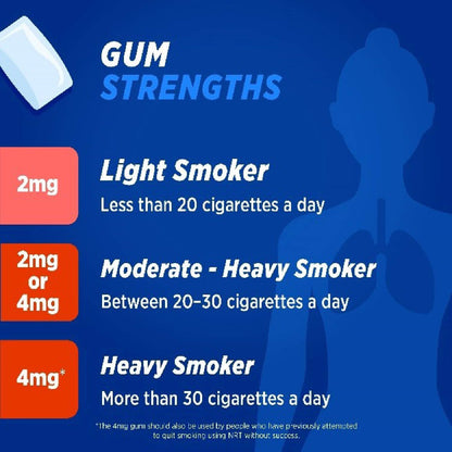 Nicotinell Fruit Gum 2mg 204 Pieces Expiry 02-2026 PACK 12